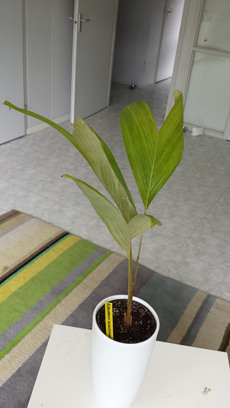 20150728_163945.jpg
