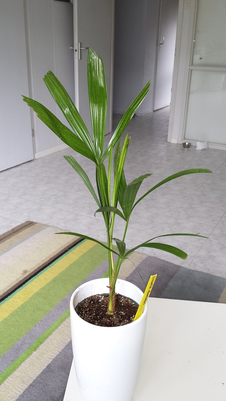 20150728_164028.jpg