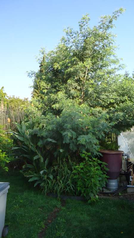 DSC02755-800.jpg