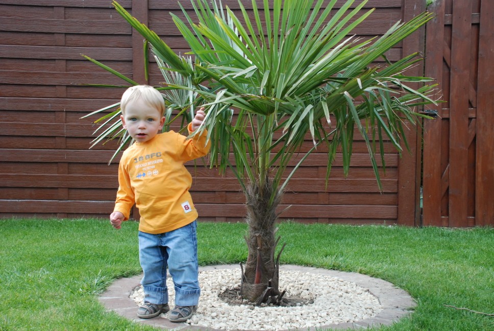 DSC_0081 (968 x 648).jpg