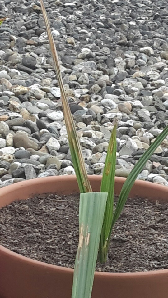 20160510_155559_resized_1.jpg