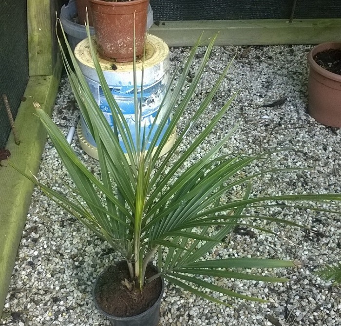 WP_20160702_003.jpg