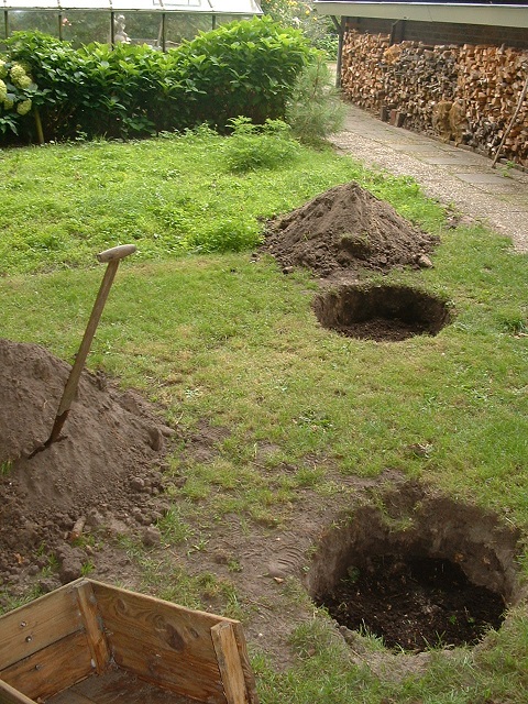 foto 2010 begin.jpg