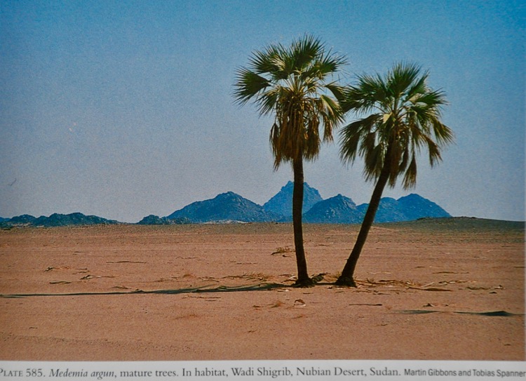 From Riffle & Craft.jpg