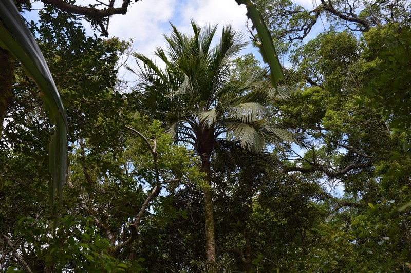 DSC_5217.jpg