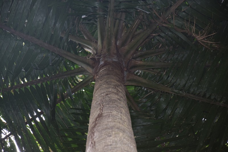 DSC_5249.jpg