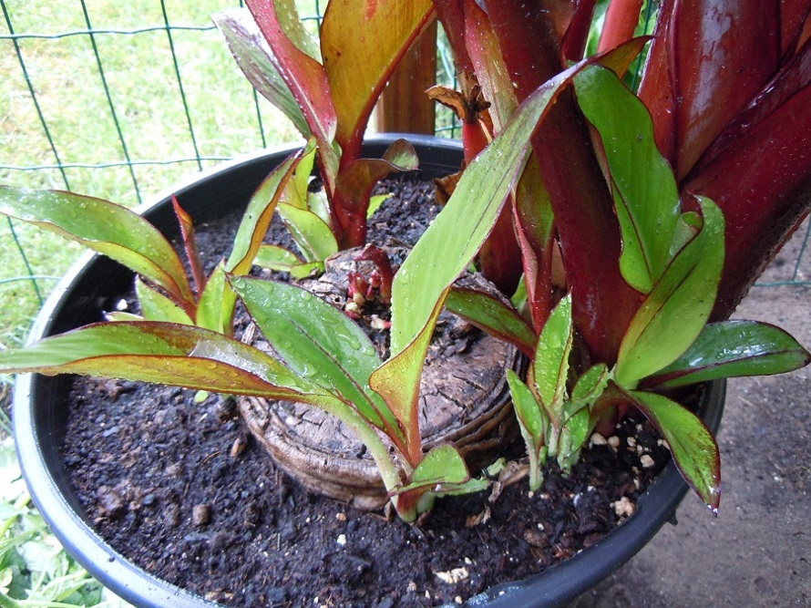 DSCN5294.JPG