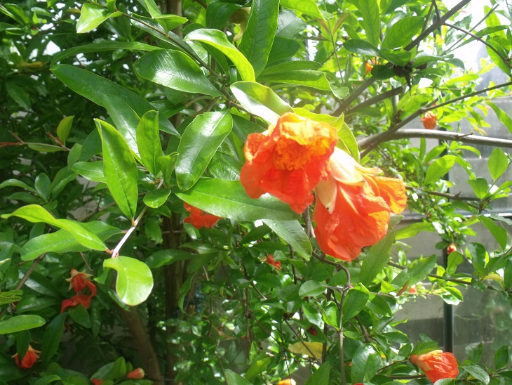DSCF7948.JPG