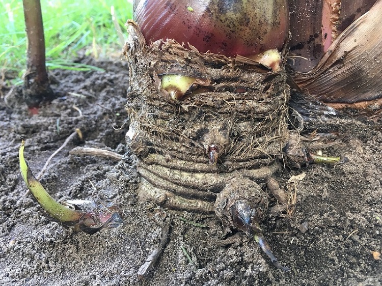 IMG_0182 - kopie.JPG