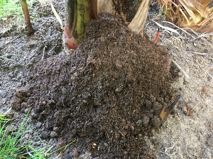 IMG_0183 - kopie.JPG