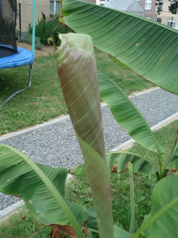 DSC05072.JPG