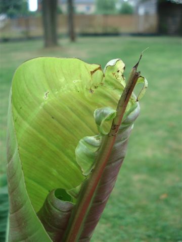 DSC05074.JPG