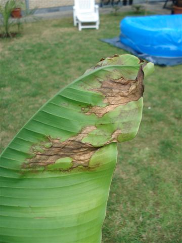 DSC05076.JPG