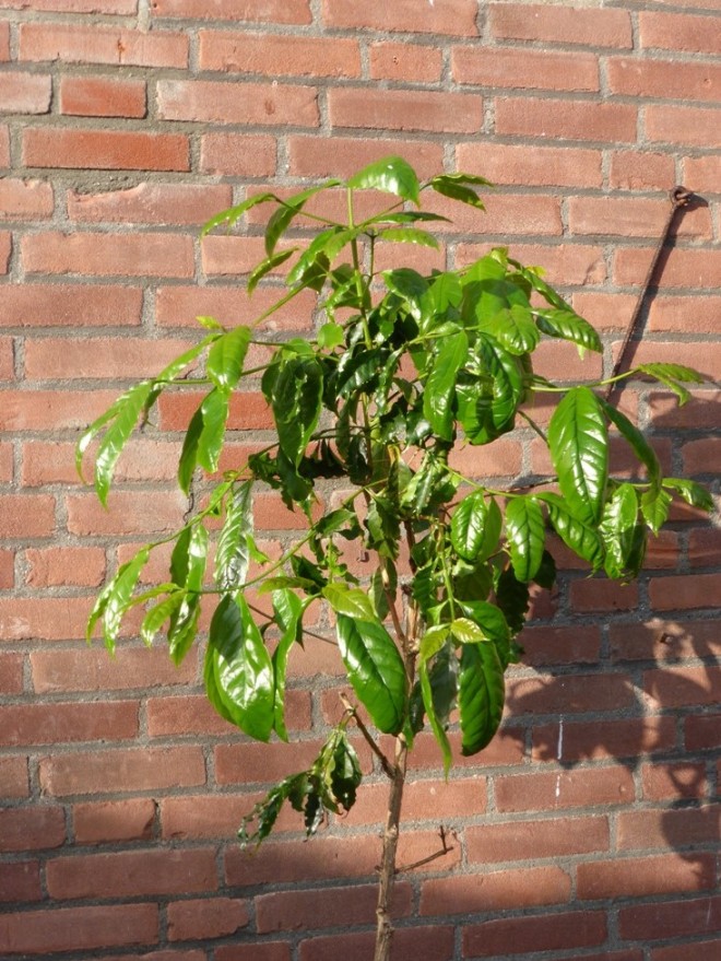 P1010287a.JPG