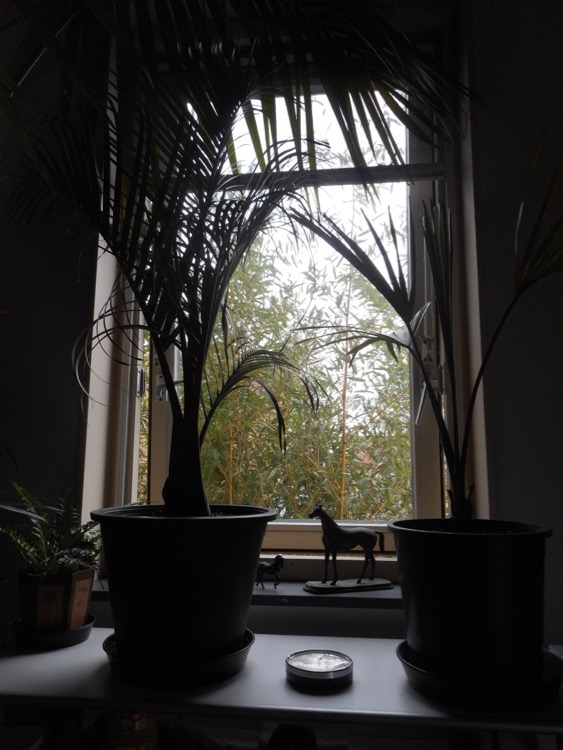 DSCN1026.jpg