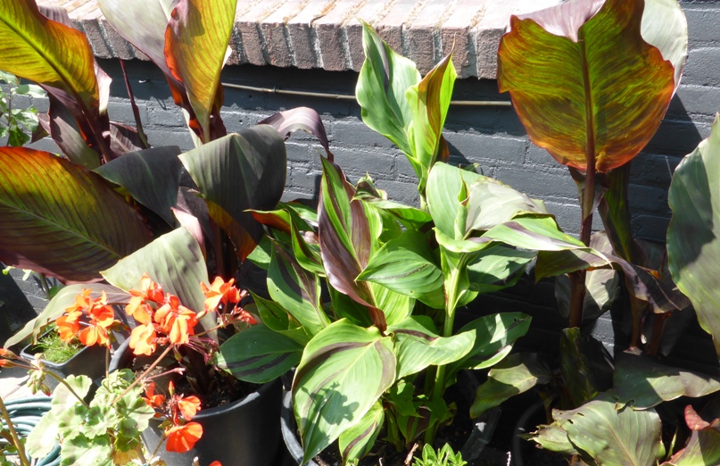 P1010374a.JPG