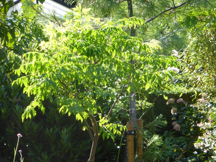 P1010401a.JPG