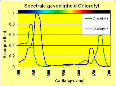 Spectrale-gevoeligheid-chlorofyl-curve.gif