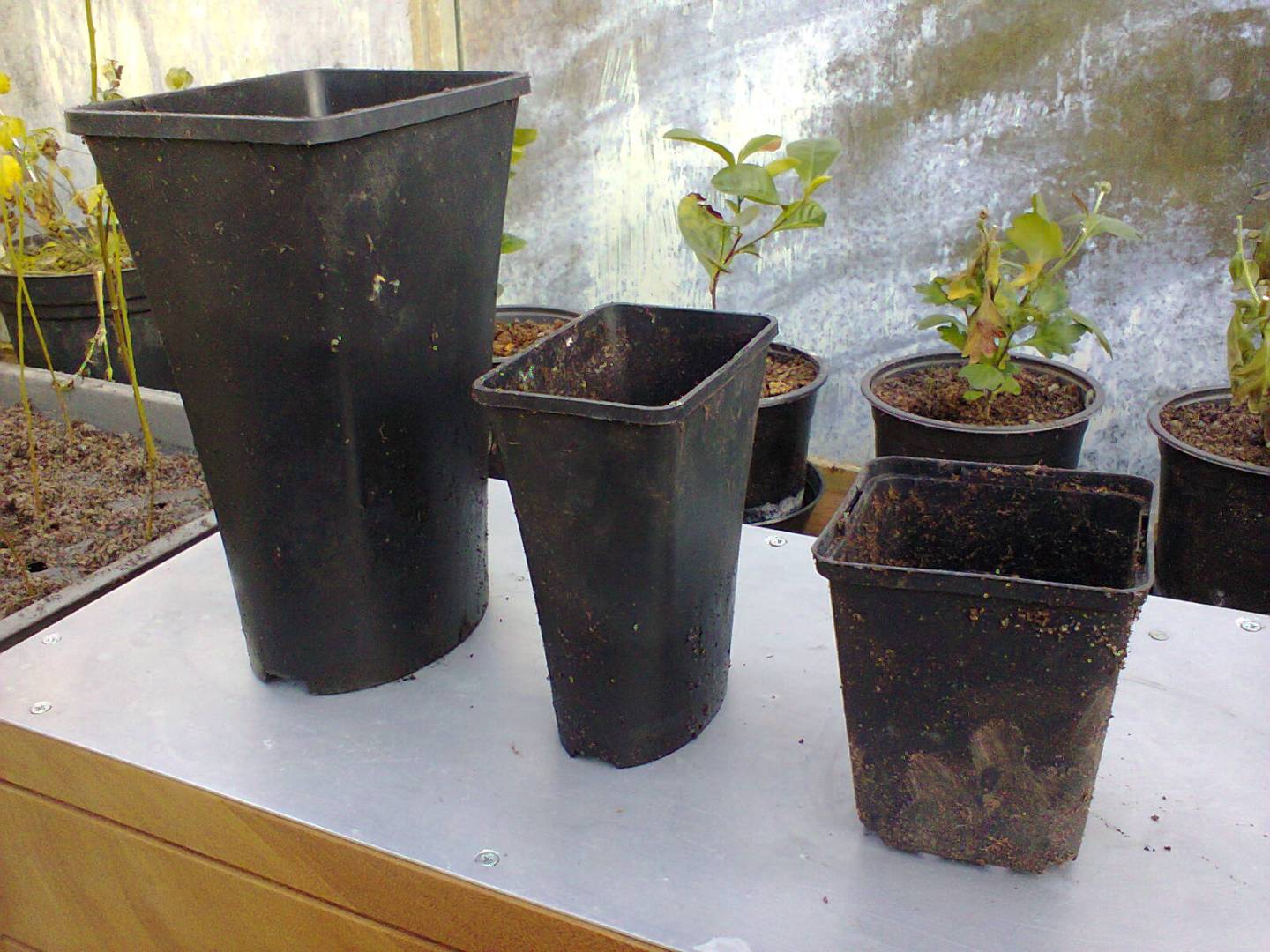 Foto0002.jpg