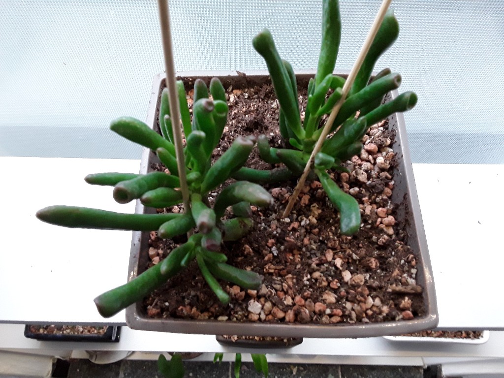 20190130_163054-1024x768.jpg