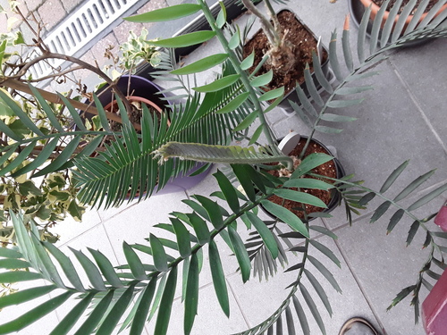 20170708_083403.jpg