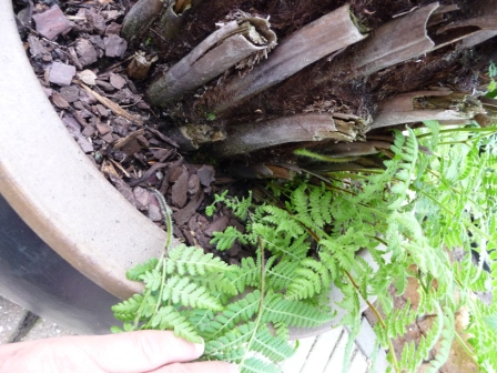 P1010373.JPG