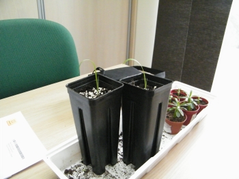 Herschaalde kopie van DSCF0745.jpg