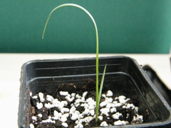 Herschaalde kopie van DSCF0746.jpg