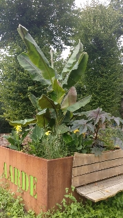 IMG-20190927-WA0002-179x318.jpg
