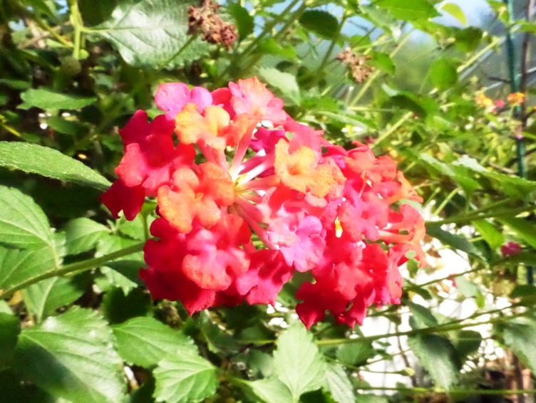 P1010585.JPG