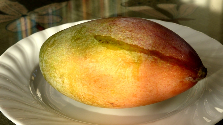 Mango.JPG
