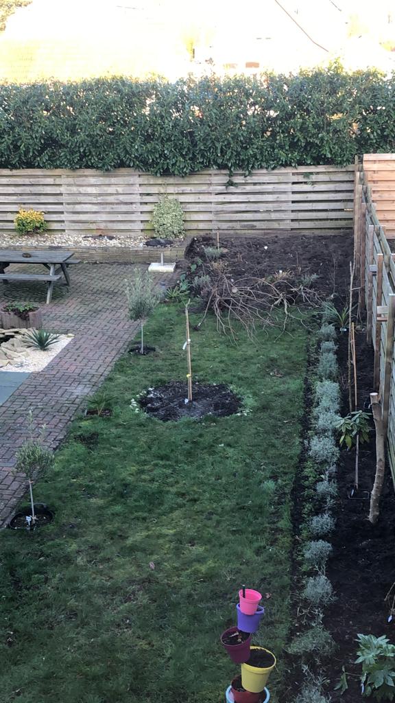 tuin winter.jpeg
