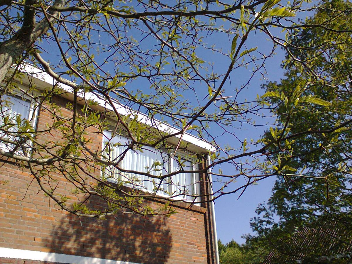 Foto0021a.jpg