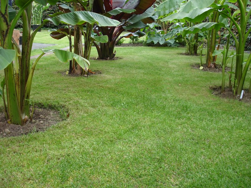 tuin 261_800x600.jpg