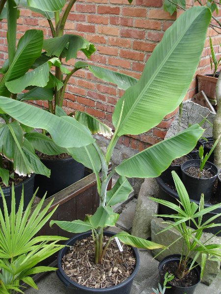 tuin 275_450x600.jpg