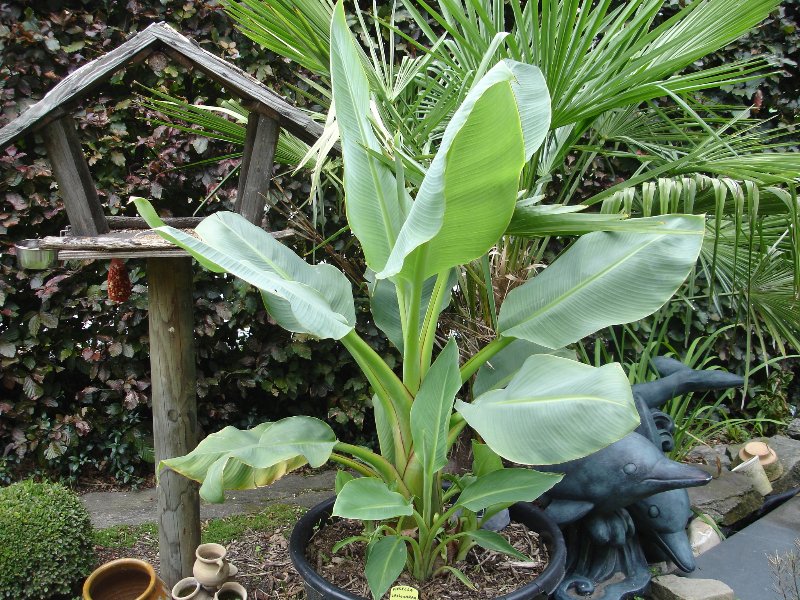 tuin 276_800x600.jpg