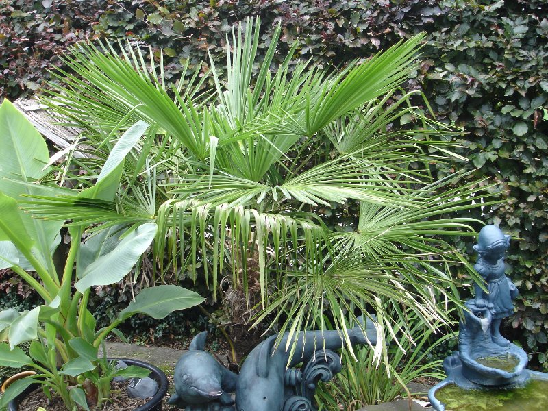 tuin 277_800x600.jpg