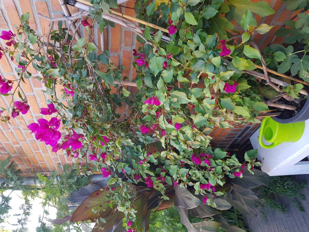 20200901_191159.jpg