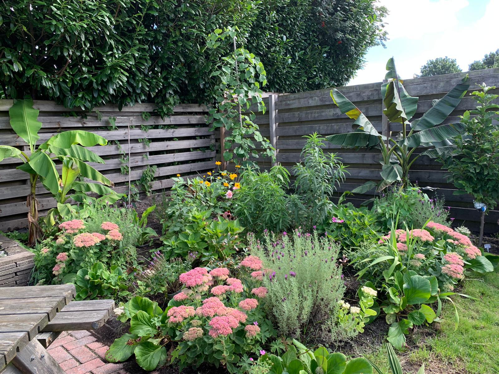 Tuin achter.jpeg