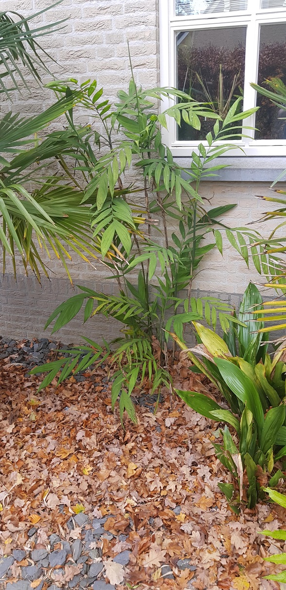 20201205_142002.jpg