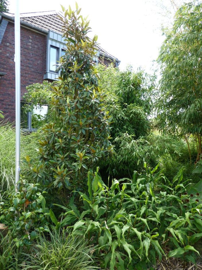 Herschaalde kopie van Herschaalde kopie van Milan 145.jpg