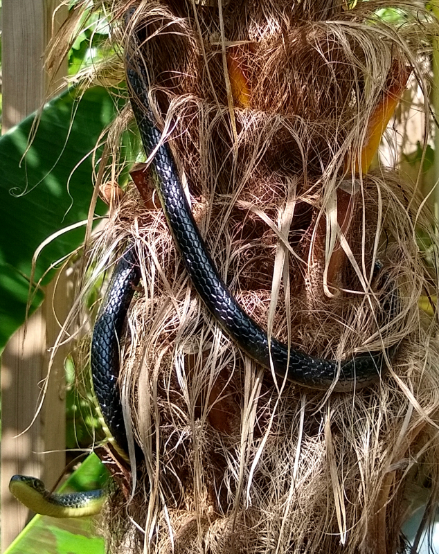 IMG_20210618_145345353_HDR (1).jpg