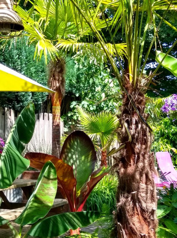 IMG_20210618_145138059_HDR.jpg