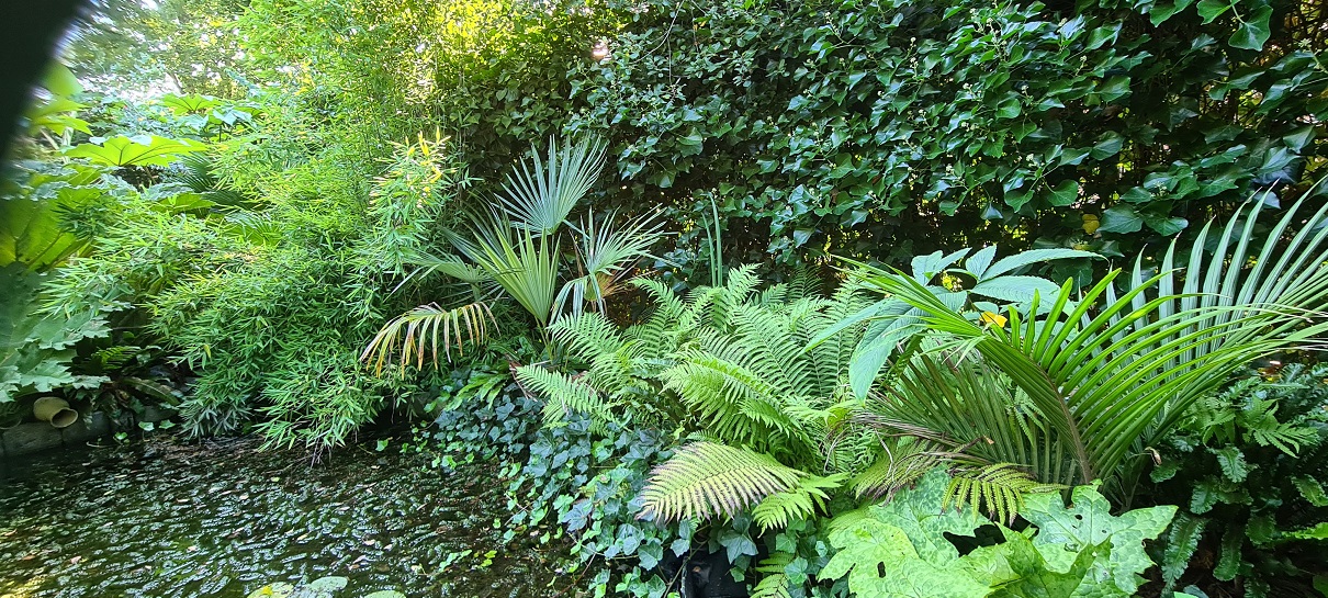 20210905_114121a.jpg