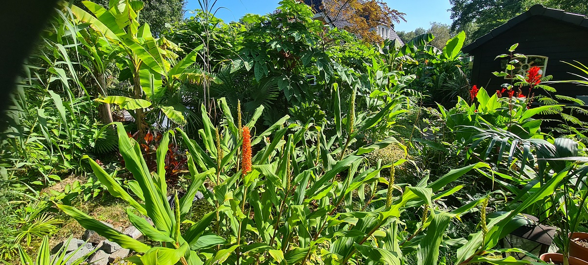 20210905_113838a.jpg