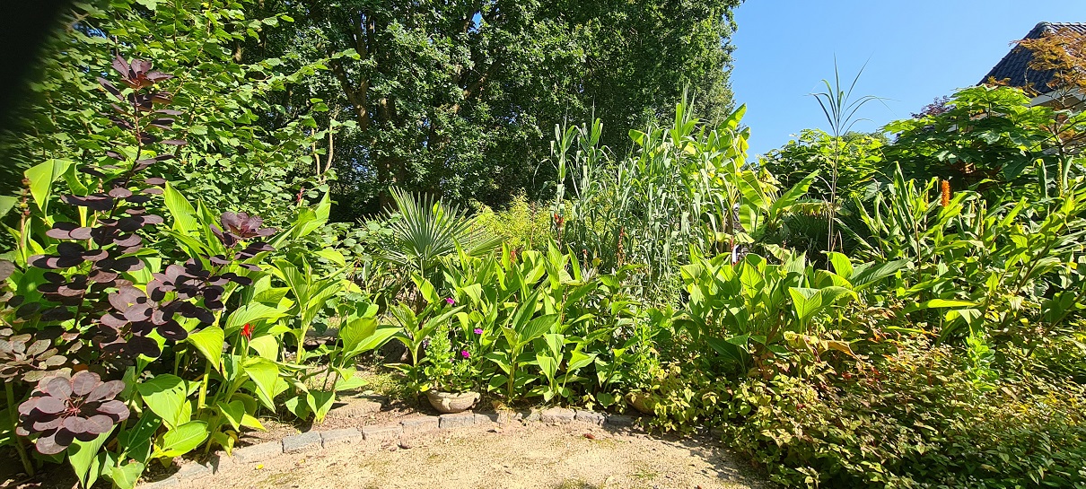 20210905_113828a.jpg