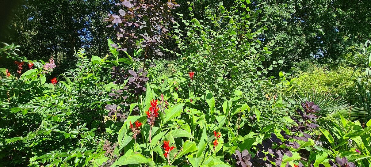 20210905_113819a.jpg