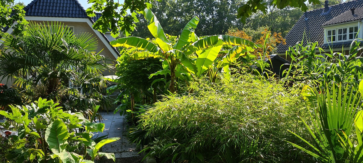 20210905_113547a.jpg