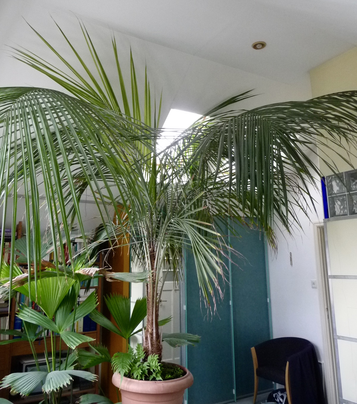 P1100420.jpg