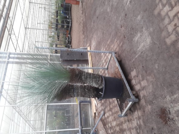 20220114_112601 (Aangepast).jpg